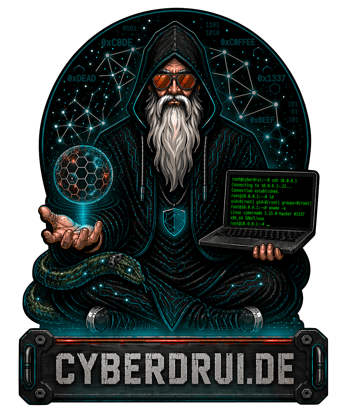 Cyberdrui.de — a hooded cyber druid holding a hex orb and a laptop