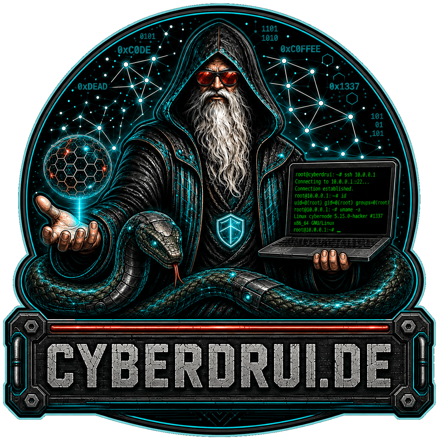 Cyberdrui.de — a hooded cyber druid holding a hex orb and a laptop